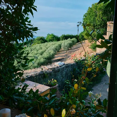 Charming Only For You, A Hidden Gem 10mn Walk To Historic Center, Stunning View *